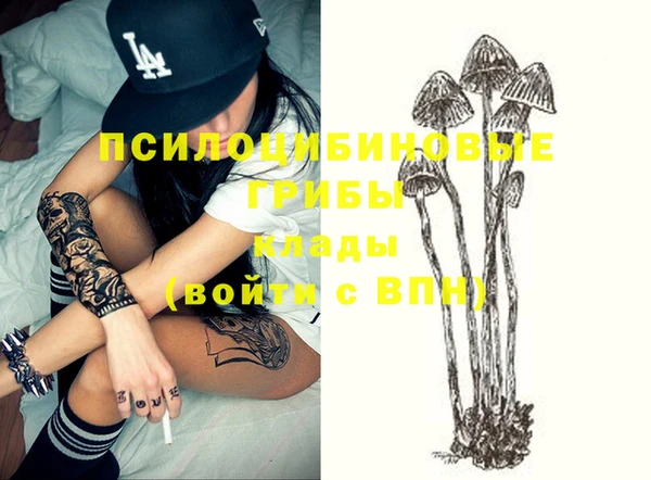 дурь Армянск