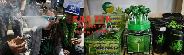 мет Елабуга